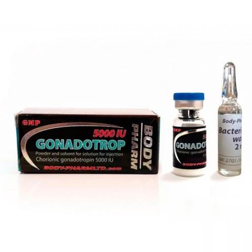 Gonadotrop 5000 IU (Gonadotropin (HCG)) for Sale