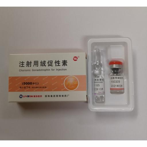 HCG 5000 IU (Gonadotropin (HCG)) for Sale