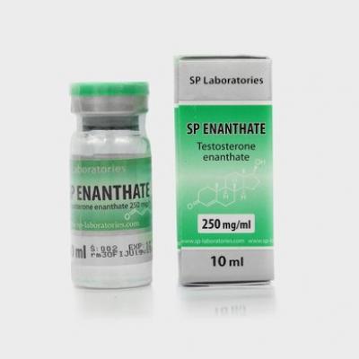 SP Enanthate (Testosterone Enanthate) for Sale