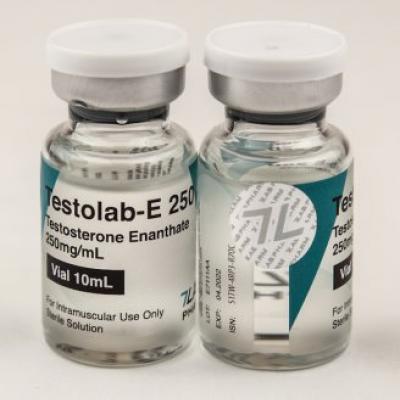 Testolab-E 250 (Testosterone Enanthate) for Sale