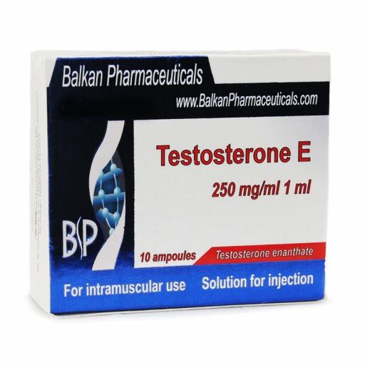 Testosterone E (Testosterone Enanthate) for Sale