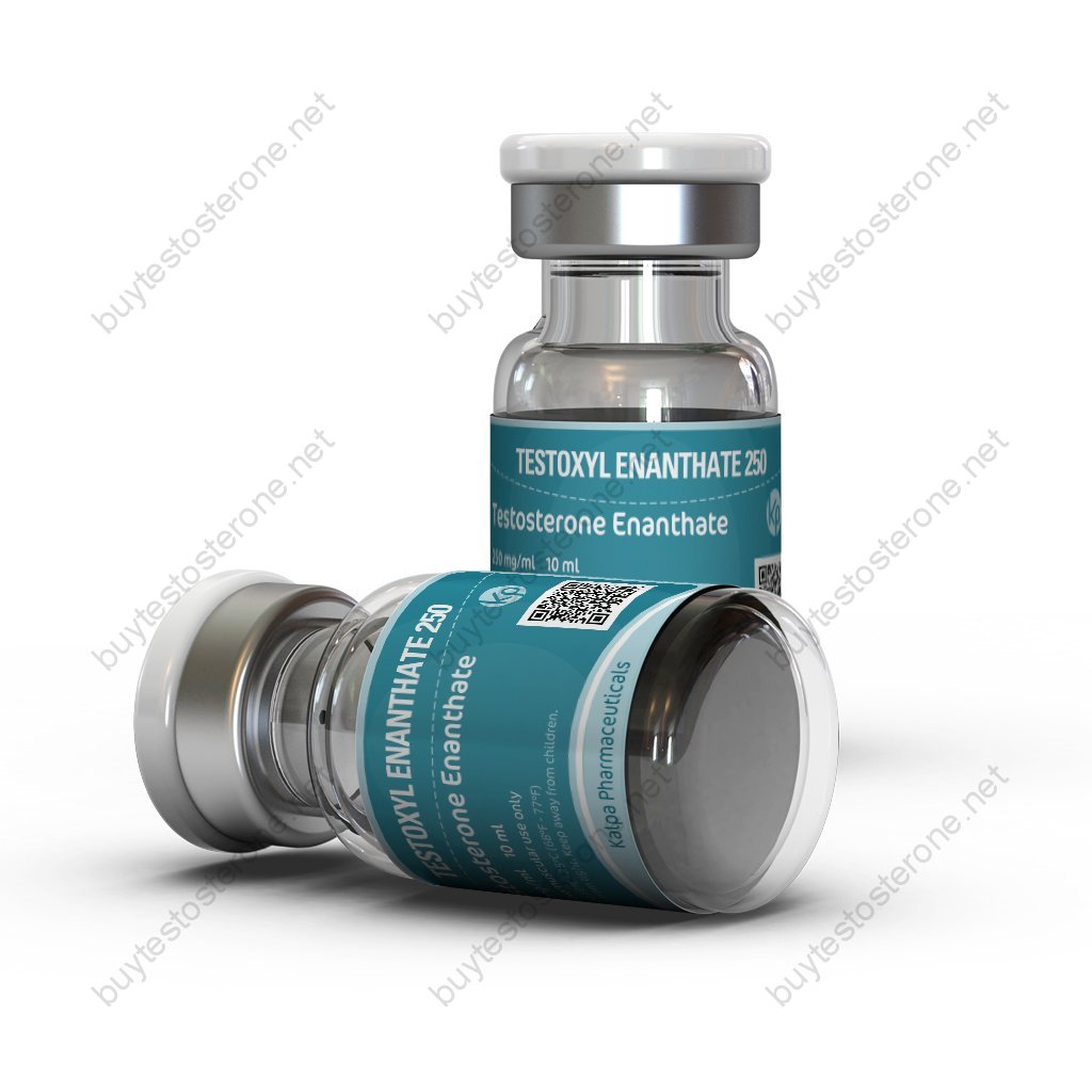 Testoxyl Enanthate 250 Testoxyl Enanthate 250
