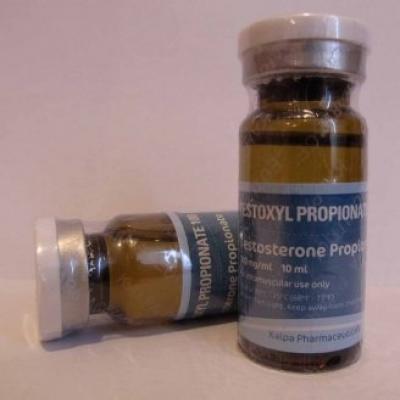 Testoxyl Propionate (Testosterone Propionate) for Sale