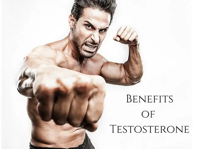 Benefits of Testosterone for Men